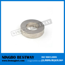 Strong Radial Magnetized Ring Magnet Manufacturer